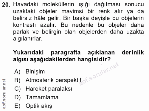 20. soru: Havadaki moleküllerin ışığı dağıtması sonucu uzaktaki objeler mavimsi bir renk alır ya da belirsiz hâle gelir. Bir ba…