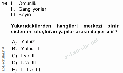 16. soru: I. Omurilik II. Gangliyonlar IlI. Beyin Yukarıdakilerden hangileri merkezî sinir sistemini oluşturan yapılar arasında…