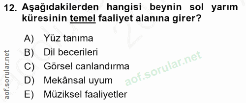 12. soru: Aşağıdakilerden hangisi beynin sol yarım küresinin temel faaliyet alanına girer? A) Yüz tanıma B) Dil becerileri C) G…