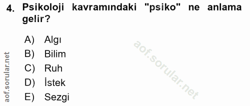 4. soru: Psikoloji kavramındaki "psiko" ne anlama gelir? A) Algı B) Bilim C) Ruh D) İstek E) Sezgi