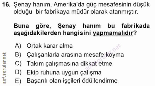 16. soru: Şenay hanım, Amerika'da güç mesafesinin düşük olduğu bir fabrikaya müdür olarak atanmıştır. Buna göre, Şenay hanım bu…