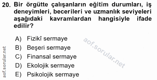 20. soru: Bir örgütte çalışanların eğitim durumları, iş deneyimleri, becerileri ve uzmanlık seviyeleri aşağıdaki kavramlardan h…