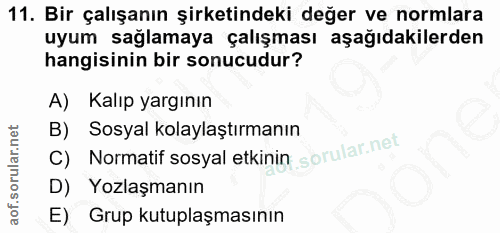 11. soru: Bir çalışanın şirketindeki değer ve normlara uyum sağlamaya çalışması aşağıdakilerden hangisinin bir sonucudur? A) Ka…