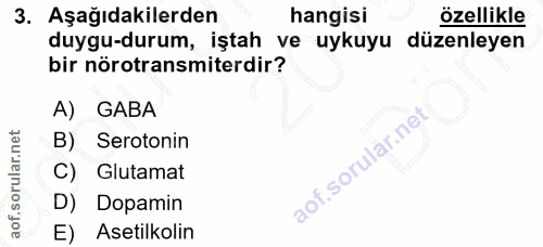 3. soru: Aşağıdakilerden hangisi özellikle duygu-durum, iştah ve uykuyu düzenleyen bir nörotransmiterdir? A) GABA B) Serotonin…