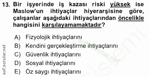 13. soru: Bir işyerinde iş kazası riski yüksek ise Maslow'un ihtiyaçlar hiyerarşisine göre, çalışanlar aşağıdaki ihtiyaçlarında…