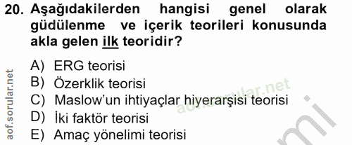 20. soru: Aşağıdakilerden hangisi genel olarak güdülenme ve içerik teorileri konusunda akla gelen ilk teoridir? A) ERG teorisi…