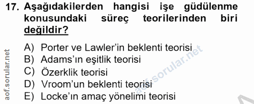 17. soru: Aşağıdakilerden hangisi işe güdülenme konusundaki süreg teorilerinden biri değildir? A) Porter ve Lawler'in beklenti…