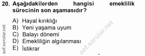 20. soru: Aşağıdakilerden hangisi emeklilik sürecinin son aşamasıdır? A) Hayal kırıklığı B) Yeni yaşama uyum C) Balayı dönemi D…