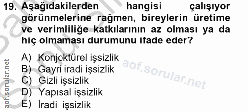 19. soru: Aşağıdakilerden hangisi çalışıyor görünmelerine rağmen, bireylerin üretime ve verimliliğe katkılarının az olması ya d…