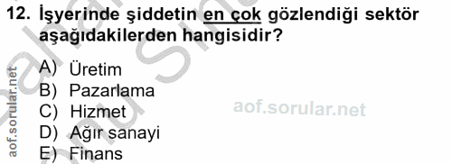 12. soru: İşyerinde şiddetin en çok gözlendiği sektör aşağıdakilerden hangisidir? A) Üretim B) Pazarlama C) Hizmet D) Ağır sana…