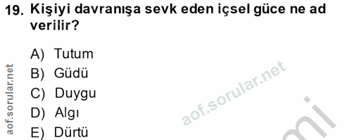 19. soru: Kişiyi davranışa sevk eden içsel güce ne ad verilir? A) Tutum B) Güdü C) Duygu D) Algı E) Dürtü