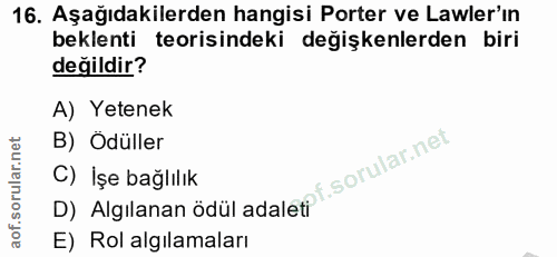 16. soru: Aşağıdakilerden hangisi Porter ve Lawler'ın beklenti teorisindeki değişkenlerden biri değildir? A) Yetenek B) Ödüller…