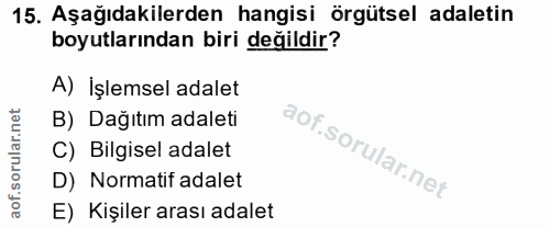 15. soru: Aşağıdakilerden hangisi örgütsel adaletin boyutlarından biri değildir? A) İşlemsel adalet B) Dağıtım adaleti C) Bilgi…