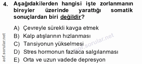 4. soru: Aşağıdakilerden hangisi işte zorlanmanın bireyler üzerinde yarattığı somatik sonuçlardan biri değildir? A) Çevreyle s…