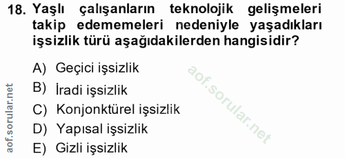 18. soru: Yaşlı çalışanların teknolojik gelişmeleri takip edememeleri nedeniyle yaşadıkları işsizlik türü aşağıdakilerden hangi…