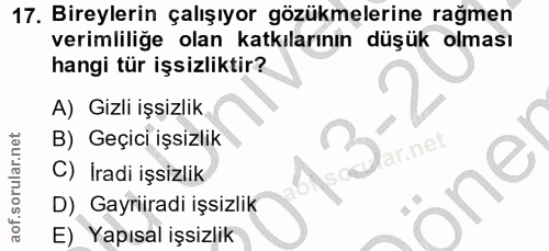 17. soru: Bireylerin çalışıyor gözükmelerine rağmen verimliliğe olan katkılarının düşük olması hangi tür işsizliktir? A) Gizli…