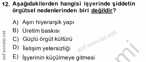 12. soru: Aşağıdakilerden hangisi işyerinde şiddetin örgütsel nedenlerinden biri değildir? A) Aşırı hiyerarşik yapı B) Üretim b…