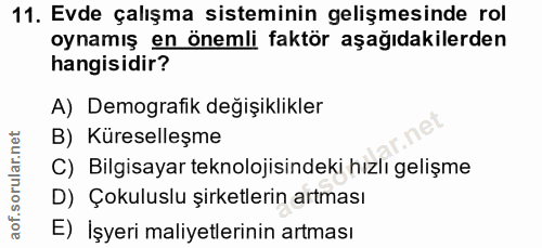 11. soru: Evde çalışma sisteminin gelişmesinde rol oynamış en önemli faktör aşağıdakilerden hangisidir? A) Demografik değişikli…