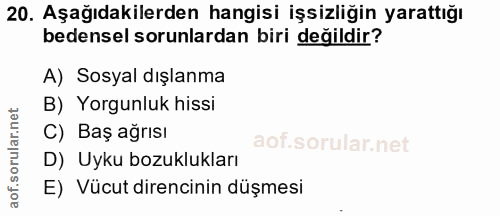 20. soru: Aşağıdakilerden hangisi işsizliğin yarattığı bedensel sorunlardan biri değildir? A) Sosyal dışlanma B) Yorgunluk hiss…
