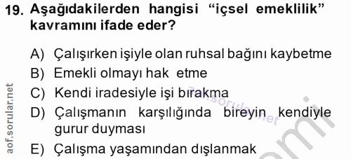 19. soru: Aşağıdakilerden hangisi "içsel emeklilik" kavramını ifade eder? A) Çalışırken işiyle olan ruhsal bağını kaybetme B) E…