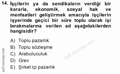 14. soru: İşçilerin ya da sendikaların verdigi bir kararla, ekonomik, sosyal hak ve menfaatleri geliştirmek amacıyla işçilerin…