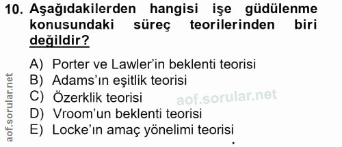 10. soru: Aşağıdakilerden hangisi işe güdülenme konusundaki süreç teorilerinden biri değildir? A) Porter ve Lawler'in beklenti…