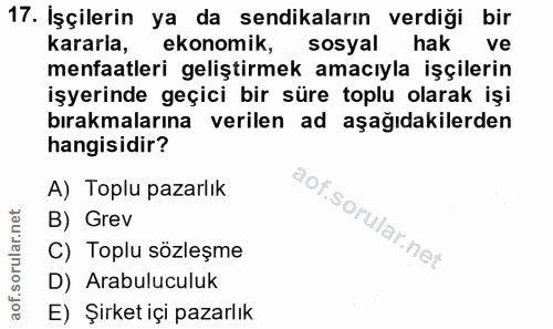 17. soru: İşçilerin ya da sendikaların verdiği bir kararla, ekonomik, sosyal hak ve menfaatleri geliştirmek amacıyla işçilerin…
