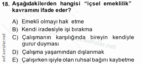 18. soru: Aşağıdakilerden hangisi "içsel emeklilik" kavramını ifade eder? A) Emekli olmayı hak etme B) Kendi iradesiyle işi bır…