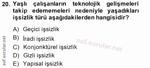 20. soru: Yaşlı çalışanların teknolojik gelişmeleri takip edememeleri nedeniyle yaşadıkları işsizlik türü aşağıdakilerden hangi…