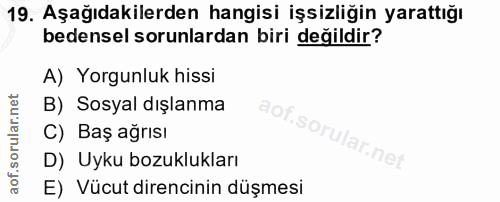 19. soru: Aşağıdakilerden hangisi işsizliğin yarattığı bedensel sorunlardan biri değildir? A) Yorgunluk hissi B) Sosyal dışlanm…