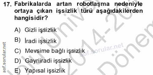 17. soru: Fabrikalarda artan robotlaşma nedeniyle ortaya çıkan işsizlik türü aşağıdakilerden hangisidir? A) Gizli işsizlik B) İ…