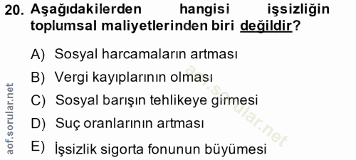 20. soru: Aşağıdakilerden hangisı işsizliğin toplumsal maliyetlerinden biri değildir? A) Sosyal harcamaların artması B) Vergi k…