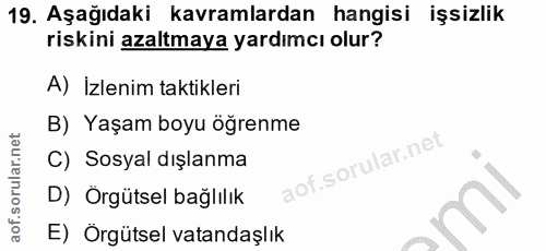 19. soru: Aşağıdaki kavramlardan hangisi işsizlik riskini azaltmaya yardımcı olur? A) İzlenim taktikleri B) Yaşam boyu öğrenme…
