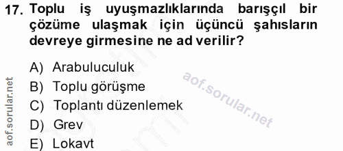 17. soru: Toplu iş uyuşmazlıklarında barışçıl bir çözüme ulaşmak için üçüncü şahısların devreye girmesine ne ad verilir? A) Ara…