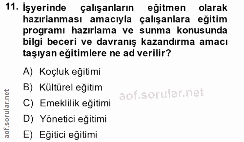 11. soru: İşyerinde çalışanların egitmen olarak hazırlanması amacıyla çalışanlara eğitim programı hazırlama ve sunma konusunda…
