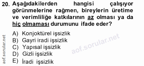 20. soru: Aşağıdakilerden hangisi çalışıyor görünmelerine rağmen, bireylerin üretime ve verimliliğe katkılarının az olması ya d…