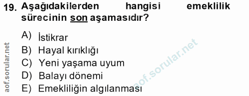 19. soru: Aşağıdakilerden hangisi emeklilik sürecinin son aşamasıdır? A) İstikrar B) Hayal kırıklığı f. C) Yeni yaşama uyum D)…