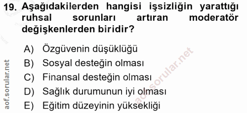 19. soru: Aşağıdakilerden hangisi işsizliğin yarattığı ruhsal sorunları artıran moderatör değişkenlerden biridir? A) Özgüvenin…