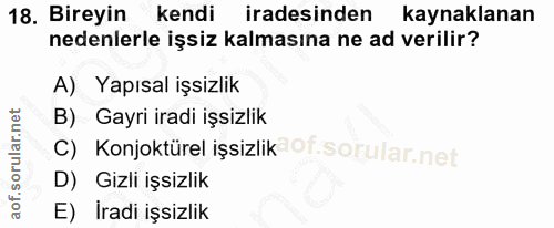 18. soru: Bireyin kendi iradesinden kaynaklanan nedenlerle işsiz kalmasına ne ad verilir? A) Yapısal işsizlik B) Gayri iradi iş…