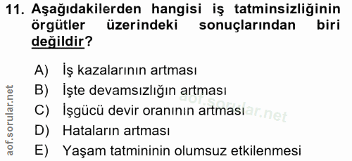 11. soru: Aşağıdakilerden hangisi iş tatminsizliğinin örgütler üzerindeki sonuçlarından biri değildir? A) İş kazalarının artmas…