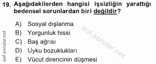 19. soru: Aşağıdakilerden hangisi işsizliğin yarattığı bedensel sorunlardan biri değildir? A) Sosyal dışlanma B) Yorgunluk hiss…