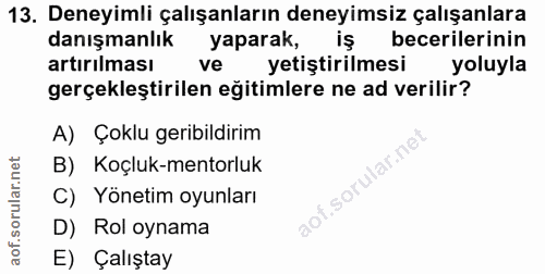 13. soru: Deneyimli çalışanların deneyimsiz çalışanlara danışmanlık yaparak, iş becerilerinin artırılması ve yetiştirilmesi yol…