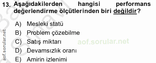 13. soru: Aşağıdakilerden hangisi performans değerlendirme ölçütlerinden biri değildir? A) Mesleki statü B) Problem çözebilme C…