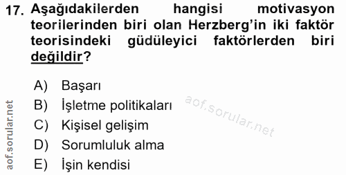 17. soru: Aşağıdakilerden hangisi motivasyon teorilerinden biri olan Herzberg'in iki faktör teorisindeki güdüleyici faktörlerde…