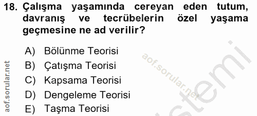 18. soru: Çalışma yaşamında cereyan eden tutum, davranış ve tecrübelerin özel yaşama geçmesine ne ad verilir? A) Bölünme Teoris…