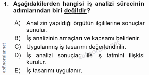 1. soru: Aşağıdakilerden hangisi iş analizi sürecinin adımlarından biri değildir? A) Analizin yapıldığı örgütün ilgililerine s…