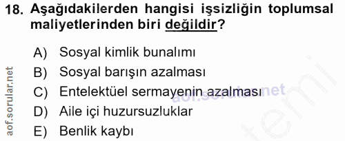 18. soru: Aşağıdakilerden hangisi işsizliğin toplumsal maliyetlerinden biri değildir? A) Sosyal kimlik bunalımı B) Sosyal barış…