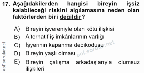 17. soru: Aşağıdakilerden hangisi bireyin işsiz kalabileceği riskini algılamasına neden olan faktörlerden biri değildir? A) Bir…