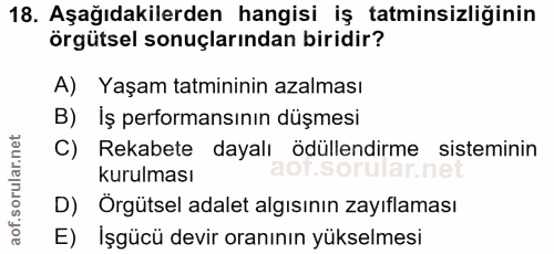 18. soru: Aşağıdakilerden hangisi iş tatminsizliğinin örgütsel sonuçlarından biridir? A) Yaşam tatmininin azalması B) İş perfor…