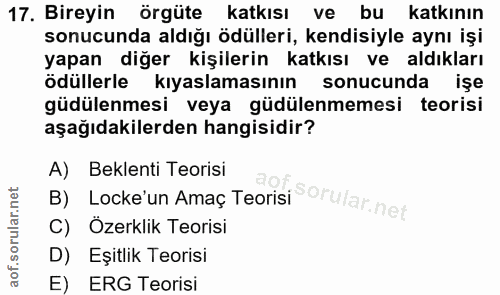 17. soru: Bireyin örgüte katkısı ve bu katkının sonucunda aldığı ödülleri, kendisiyle aynı işi yapan diğer kişilerin katkısı ve…